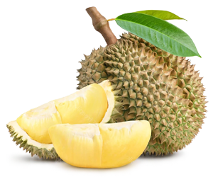 Image of unopened durian and its ripe fruit beside it