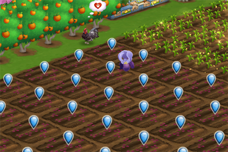 FarmVille 2 screenshot detail showing plots newly planted with Crimean Iris seeds
