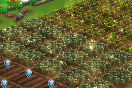 FarmVille 2 screenshot detail showing plots with newly watered and fertilized Crimean Irises