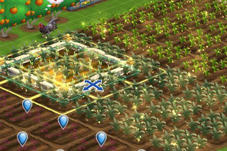 FarmVille 2 screenshot detail showing plots with newly watered and fertilized Crimean Irises about to be displaced by a crop field up to a maximum of 9 crop plots at a time