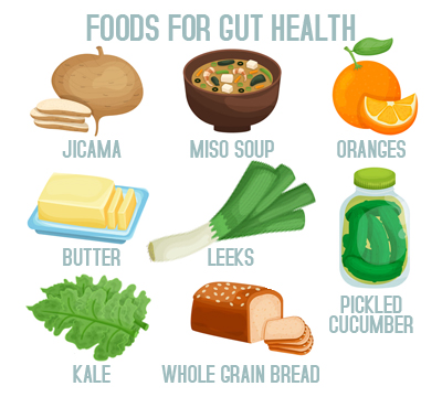Illustrated graphic showing an assortment of foods associated with gut health including yogurt, fermented vegetables, whole grains, and fresh produce